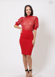 CROCHET BODYCON HALF SLEEVE DRESS